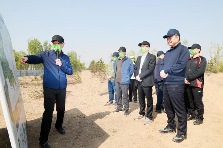 集團(tuán)公司與國家林業(yè)和草原局、國家開發(fā)銀行聯(lián)合開展義務(wù)植樹活動