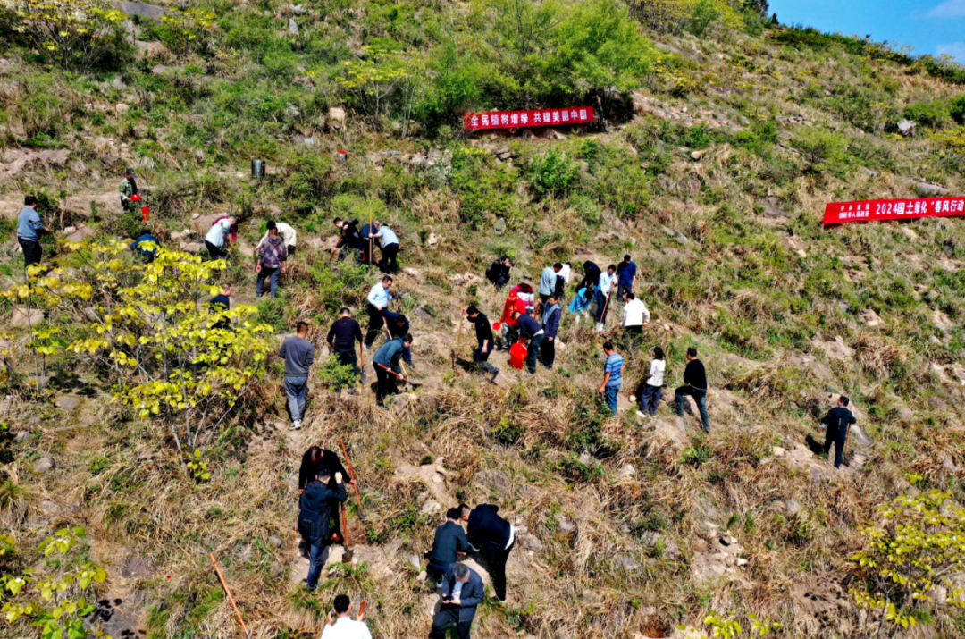 中林集團(tuán)2024國土綠化“春風(fēng)行動”正式啟動